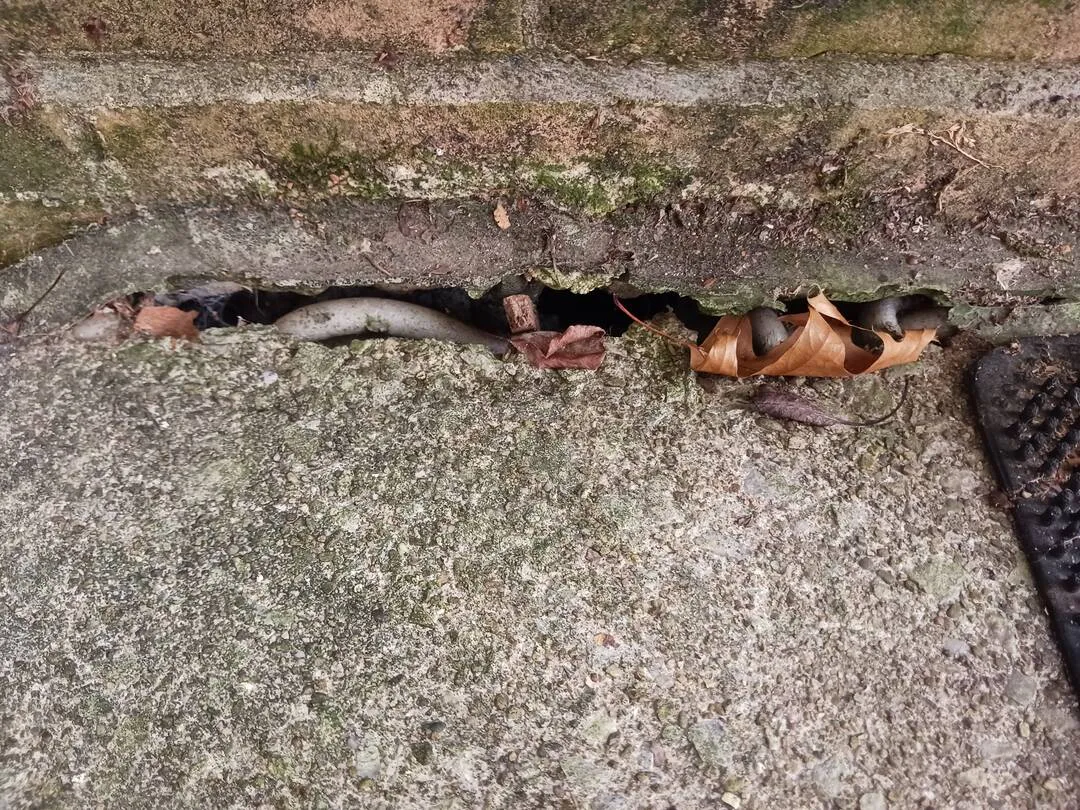 Water pooling on front step